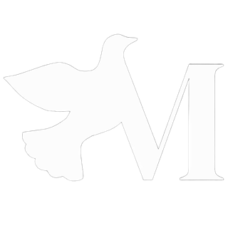 Logo FabyMcfly
